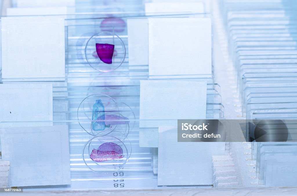 Microscope Graduation Slide Science Microscope Slide Stock Photo - Download Image Now - Microscope ...