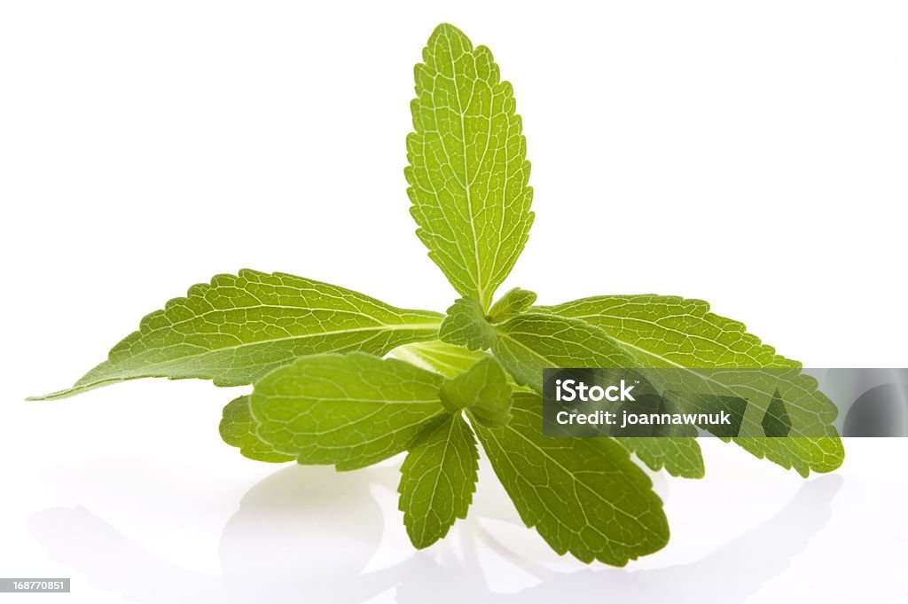 Stevia Rebaudiana folhas de isolado no fundo branco - Foto de stock de Alimentação Saudável royalty-free