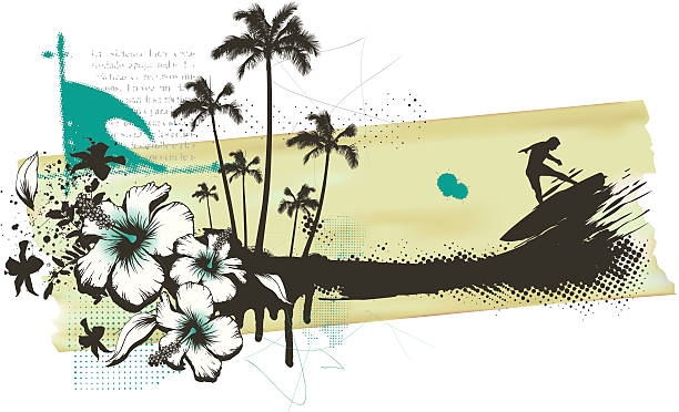 ilustrações de stock, clip art, desenhos animados e ícones de banner de grunge verão com palmas e hibisco surfista - adventure australia big wave surfing best in show