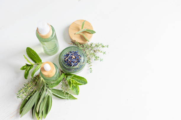 istock Botanical blends, herbs, essencial oils for naturopathy 1687711246