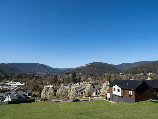 istock Suburban neighbourhood in spring 1687717520
