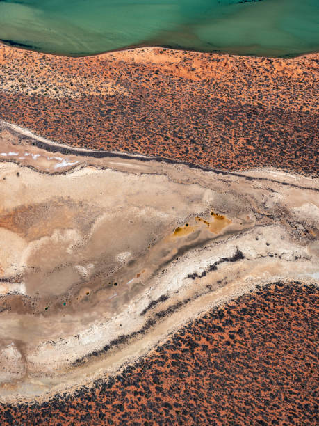 istock Aerial view of remote coastline 1687732165