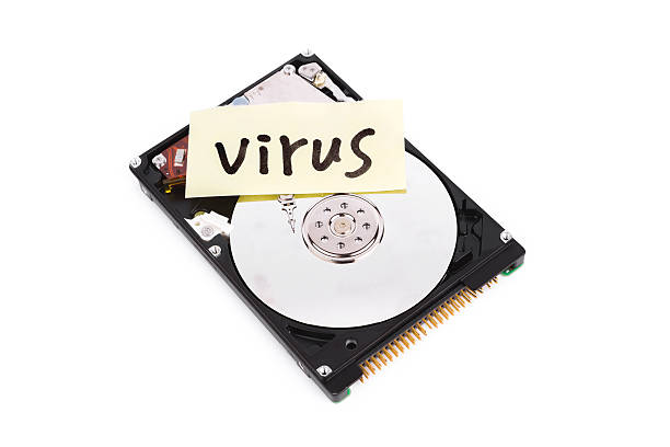 istock hard drive with the information of virus warning 168773461