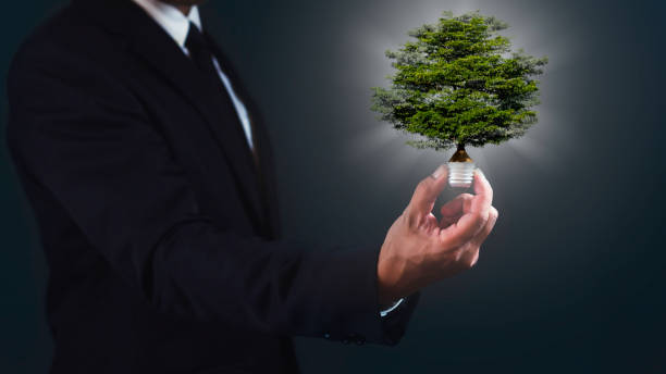 istock Businessman holding light bulb with tree against dark blue background.  Renewable energy and environmental conservation concept. 1687758270