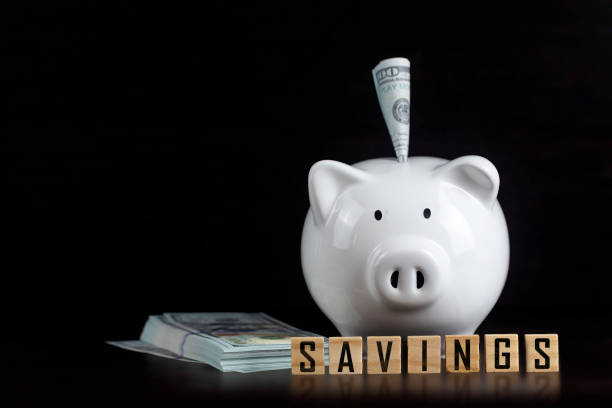 istock One dollar bill on white piggy bank and stack of notes In which the front has a small rectangular piece of wood with the word savings on a black background. 1687773235