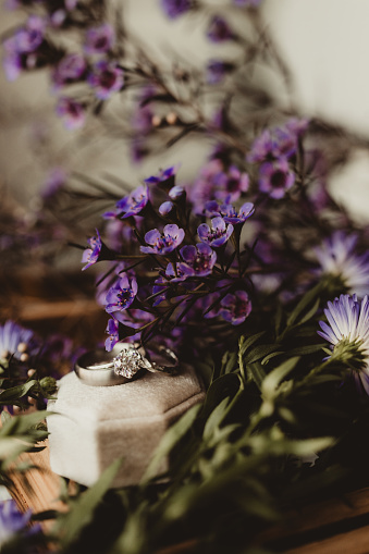 Close up of wedding rings and purple flowers