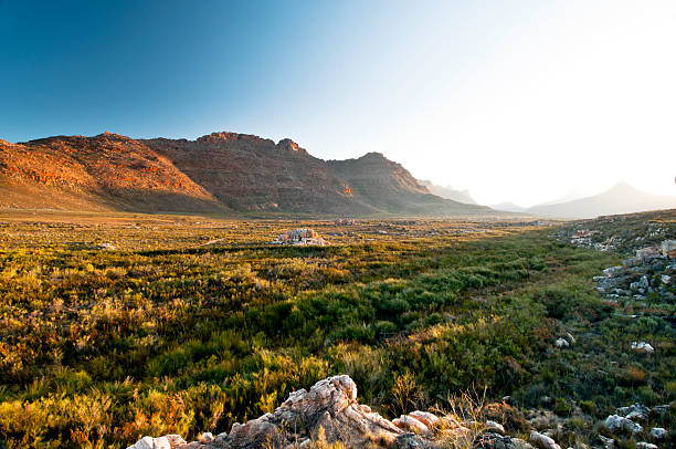 Sunset over valley in Cederberg Sunset over valley in Cederberg, Western Cape, South Africa. cederberg mountains photos stock pictures, royalty-free photos & images