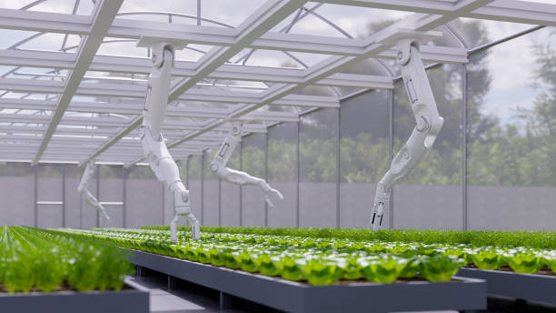 istock AI smart robotic farmers concept,Agriculture technology automation. 1687817468