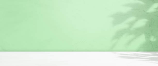 istock Green Background Summer Table Product Shadow on Wall, Abstract Leaves Light Overlay Pastel Tropic Studio Room Backdrop Podium Empty Floor Kitchen Gradient 3d Bg Backdrop Surface Texture Mockup 1687822304