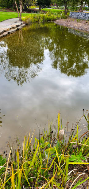 istock Urban Escape, Landscape at Railroad Park 1687830373