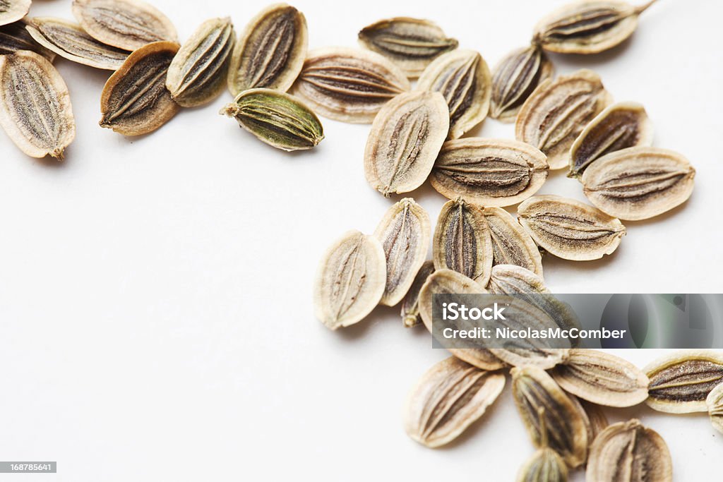 Fennel Seeds Background Macro close-up of Fennel Seeds on a sheet of white paper. Backgrounds Stock Photo