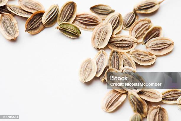 Fennel Seeds Background Stock Photo - Download Image Now - Backgrounds, Beige, Close-up