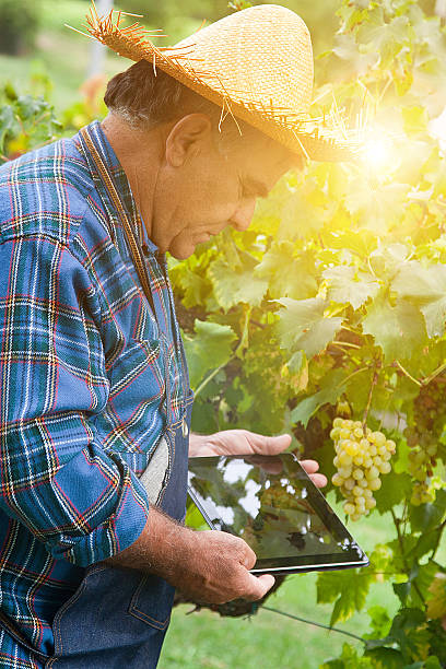 Farmer looking a digital tablet outdoor