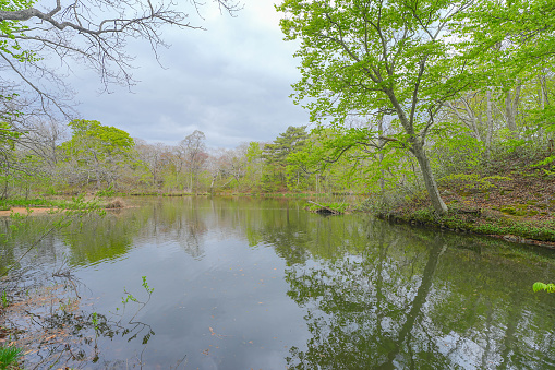 Oonuma national park in Hokkaido