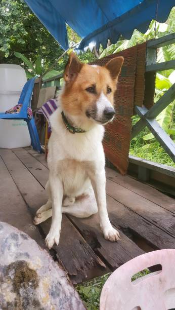 Здоровье и болезни