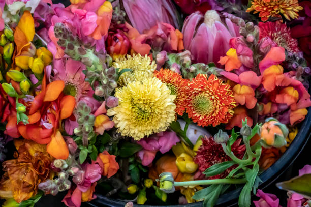 Bunch of multi coloured spring flowers