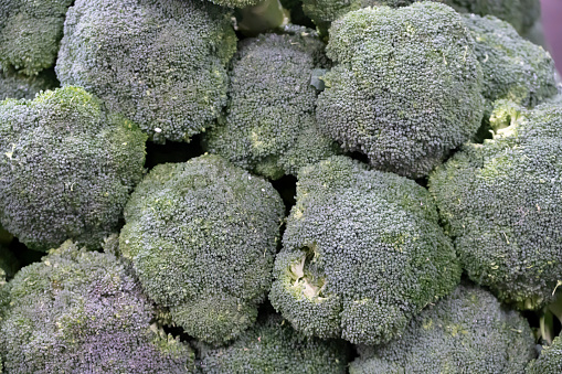 fresh broccoli in a pile.