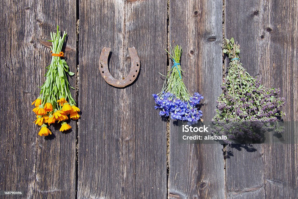 Medizinische Kräuter Bündel an der Wand und rostigen Hufeisen - Lizenzfrei Pferd Stock-Foto