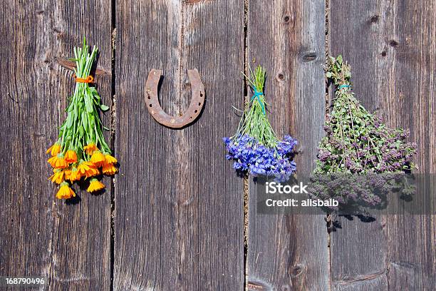 Medizinische Kräuter Bündel An Der Wand Und Rostigen Hufeisen Stockfoto und mehr Bilder von Pferd