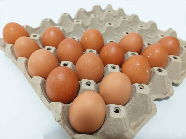 istock Chicken eggs in paper egg carton. 1687905194