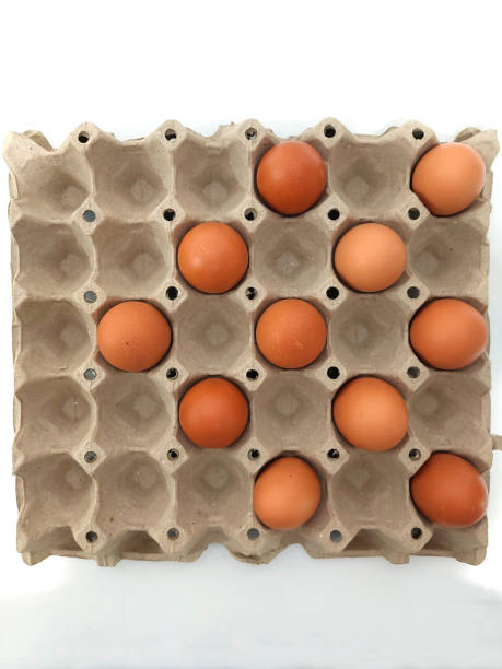 istock Chicken eggs in paper egg carton. 1687905716