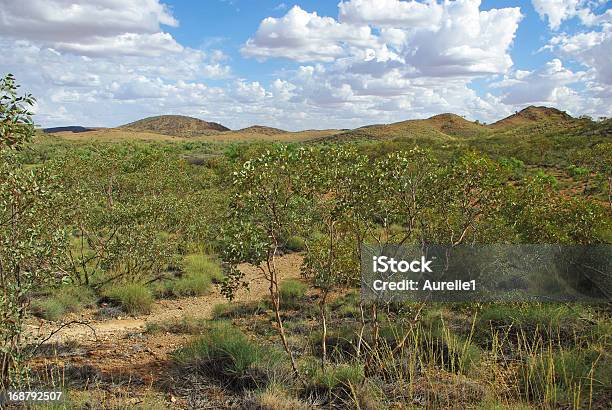 Landscape Of Central Australia Stock Photo - Download Image Now - Alice Springs, Animal Wildlife, Australia