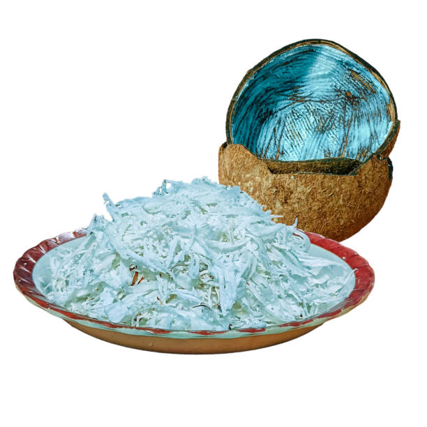 Grated coconut in a container with mature coconut shells on a white background.
