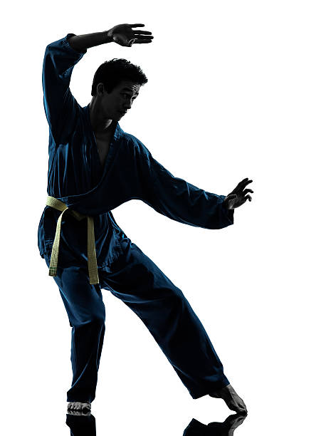 istock karate vietvodao martial arts man silhouette 168794668