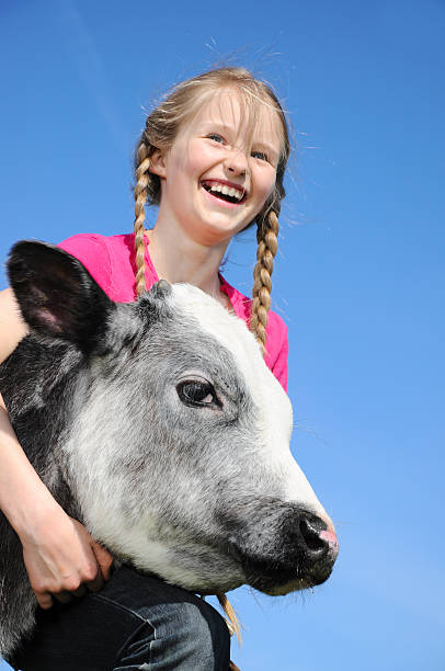 istock little girl with a calf 168796831