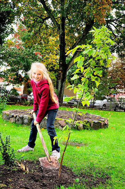 girl planting a tree in the garden