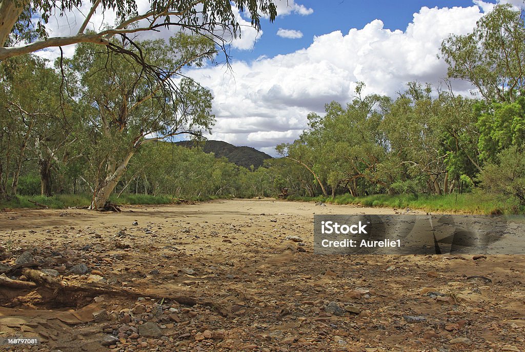 Paisagem da Central Australia - Foto de stock de Ajardinado royalty-free