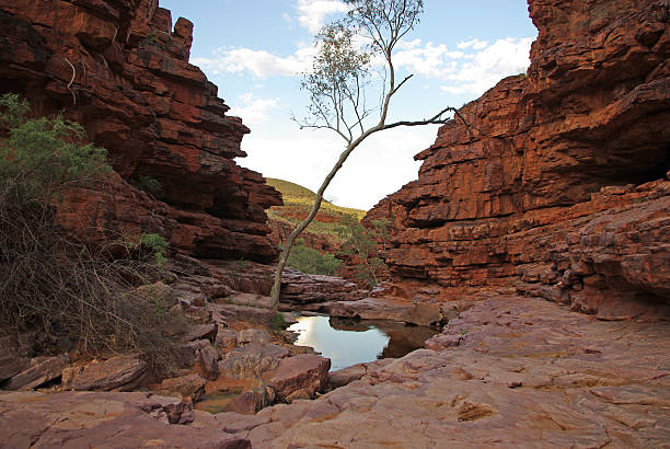 istock Landscape of Central Australia 168797123