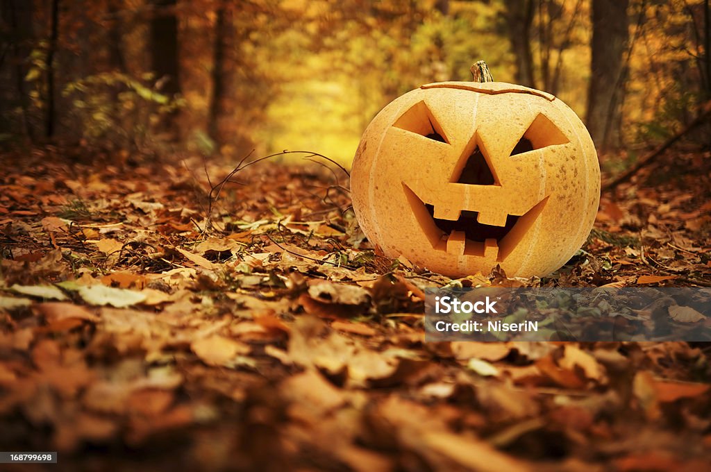 Halloween pumpkin in autumn forest Halloween scary pumpkin in autumn forest Autumn Stock Photo