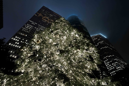 A Christmas Tree lit up in downtown Houston with office building skyscrapers in the background.  Photo by Bob Gwaltney.