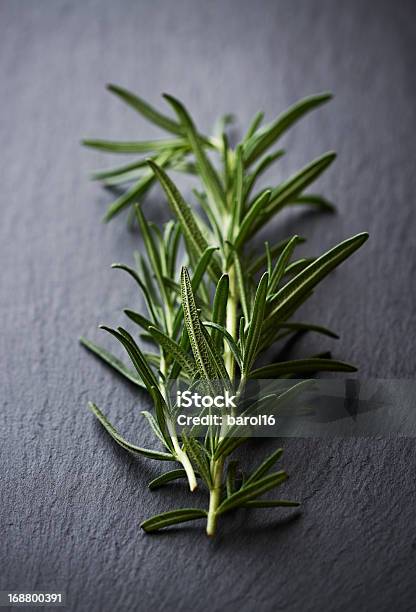 Fresh Rosemary Stock Photo - Download Image Now - Black Color, Close-up, Dark