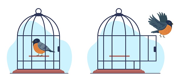Concept of captivity and freedom, bird sits in cage and bird flies out of cage. Mental health issues, rehabilitation, taking new opportunities metaphor. Vector cartoon flat style isolated illustration