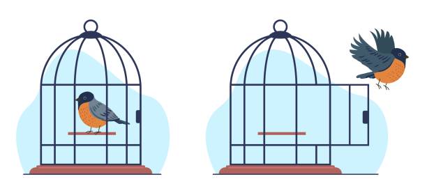 Concept of captivity and freedom, bird sits in cage and bird flies out of cage. Mental health issues, rehabilitation, taking new opportunities metaphor. Vector cartoon flat isolated illustration Concept of captivity and freedom, bird sits in cage and bird flies out of cage. Mental health issues, rehabilitation, taking new opportunities metaphor. Vector cartoon flat style isolated illustration birdcage stock illustrations