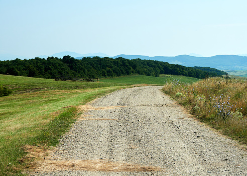 Nature landscape with dirt road. A common countryside landscape