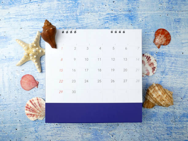istock Sea shells and calendar on blue background 1688022562