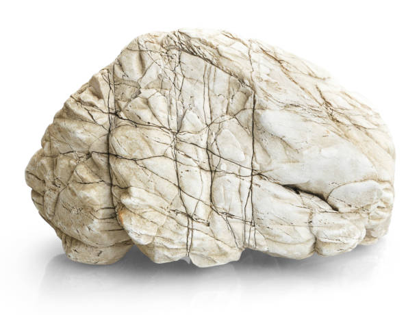 Single natural stone on white background, selective focus with shallow depth of field.