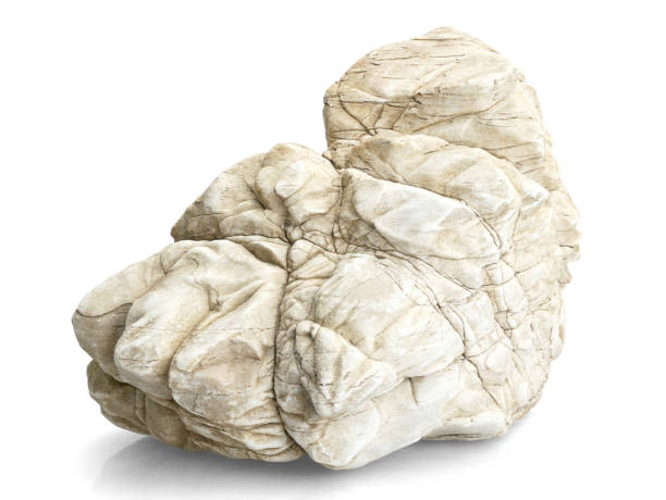 istock Single natural stone on white background, selective focus with shallow depth of field. 1688029733