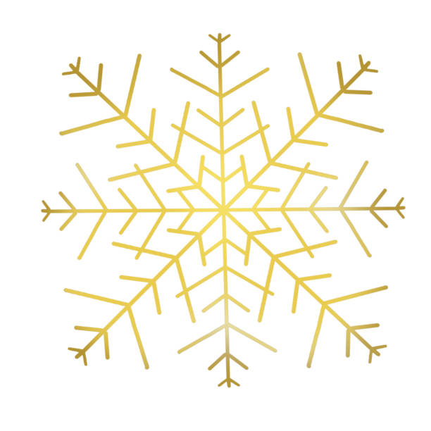 набор золотых снежинок. рождественский цифровой дизайн, рисование от руки. - snowflake moray eel stock illustrations