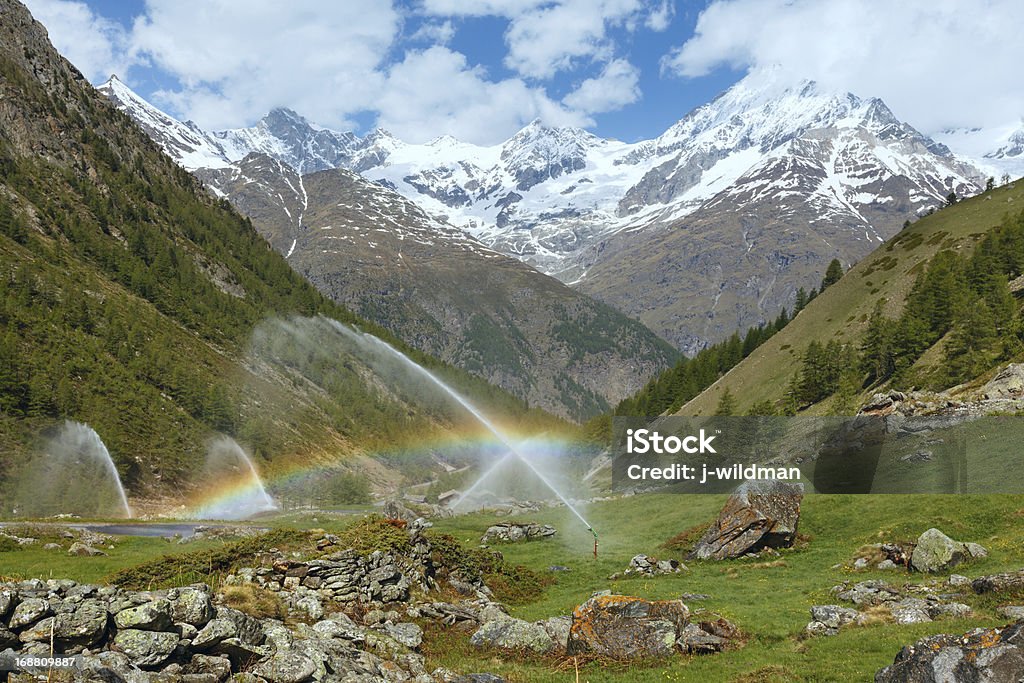 Arcos-íris num irrigação bicos de água no Verão dos Alpes de montanha hill - Royalty-free Abeto Foto de stock