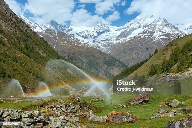 Arcosíris Num Irrigação Bicos De Água No Verão Dos Alpes De Montanha Hill - Fotografias de stock e mais imagens de Abeto