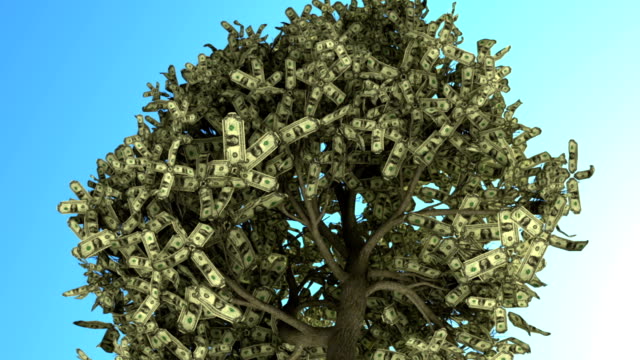 Tree Of Money