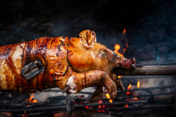 pig on a grill - roasted spit roasted roast pork barbecue grill imagens e fotografias de stock