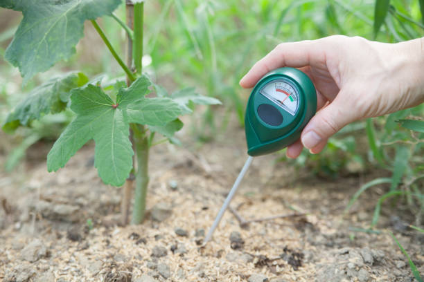 istock measuring the acidity of the field using a soil pH meter 1688106669