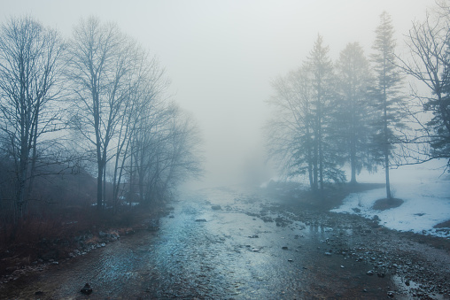 Slovenian Jezernica river in foggy morning. This body of water is one of the shortest rivers in the world, running from lake Bohinj till with Mostnica where Sava Bohinjka is formed. Selective focus.