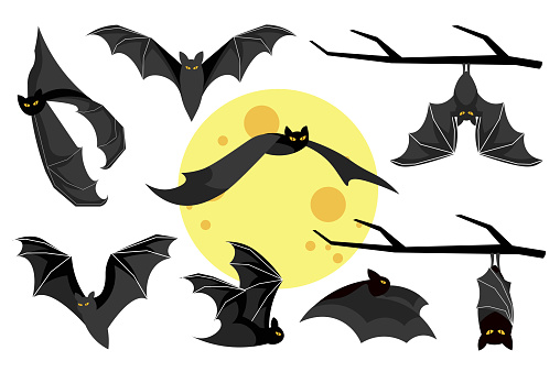 Cute spooky bats mega set elements in flat design. Bundle of flying by moon or hanging on branch Halloween characters with different types of wing poses. Vector illustration isolated graphic objects