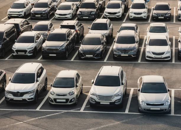 Car Rental business Transportation service